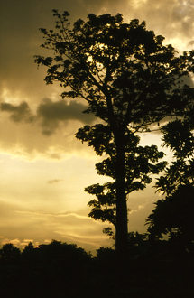 volta-region_sunset
