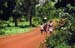 volta-region(nord)_route_du_marche-01