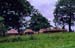 volta-region_binbila-gambaga-02