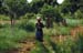 volta-region_binbila-gambaga-03