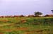 volta-region_binbila_area-02