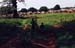 volta-region_gambaga_area-02