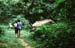 waterfall-wli(volta-region)-01